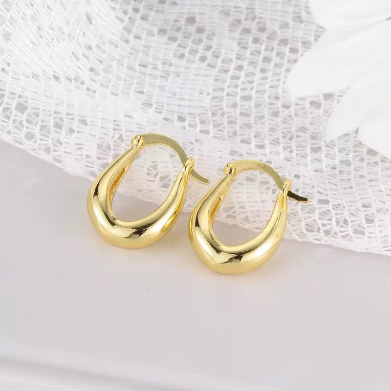 Classic Chunky Hoop Earrings